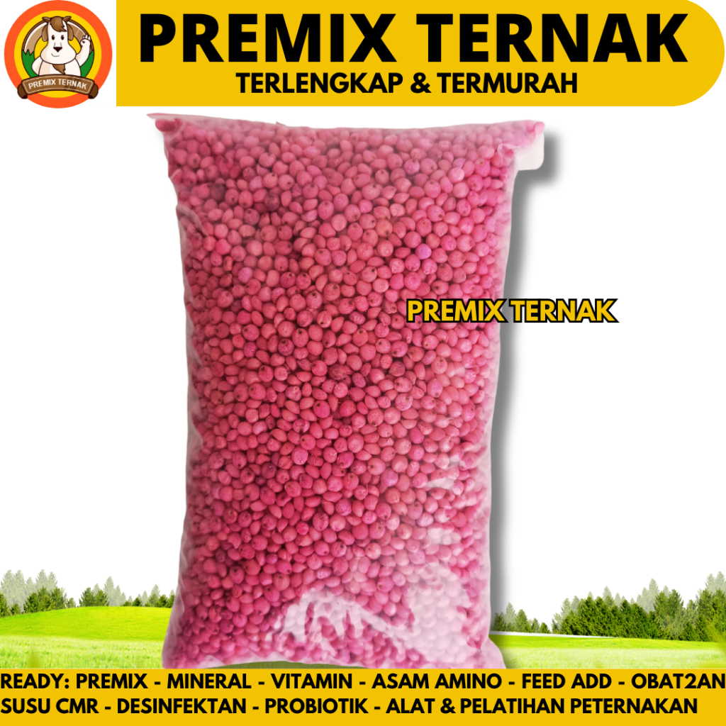 Jual BENIH BIBIT SORGUM BIOGUMA 2 KEMASAN 1 KG - Benih Sorgum Bioguma