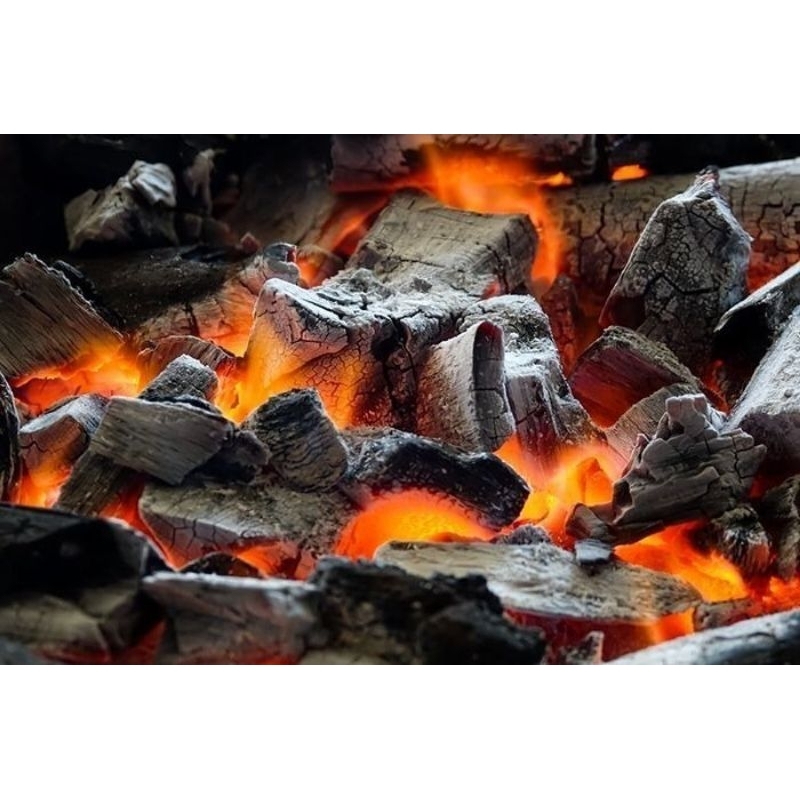 Jual Arang Kayu Arang Bakar Arang Keras Arang Bakaran Sate | Shopee ...