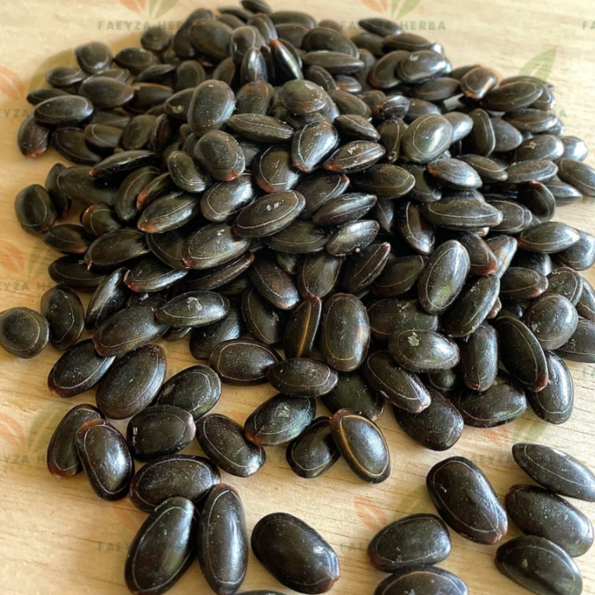 Jual Biji Kedaung Kering 250gr - Biji Kedawung Kering - Biji Dawung ...