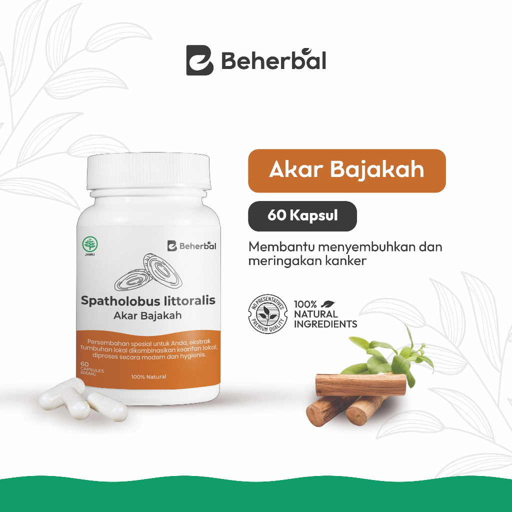 Kapsul Bajakah BEHERBAL | Kaya Antioksidan Tinggi, Cegah Kanker , Perkuat Imun & Lawan Penyakit Hati