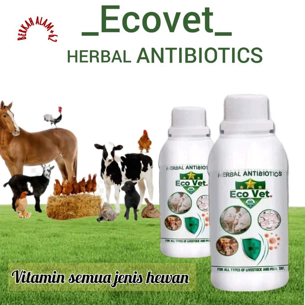 Jual Antibiotik Sapi Kambing Tambah Nafsu Makan Minum Sakit Dermatitis ...