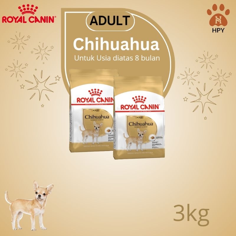 Chiwawa royal best sale