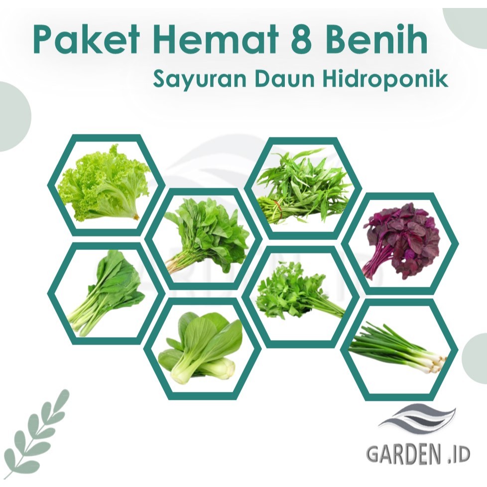 Jual Paket Hemat Benih Sayuran Daun Hidroponik | Shopee Indonesia