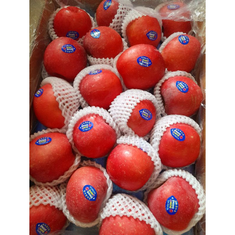 Jual Apel Premium Korean Sun Shine Fresh /500gr ( manis kres) | Shopee ...