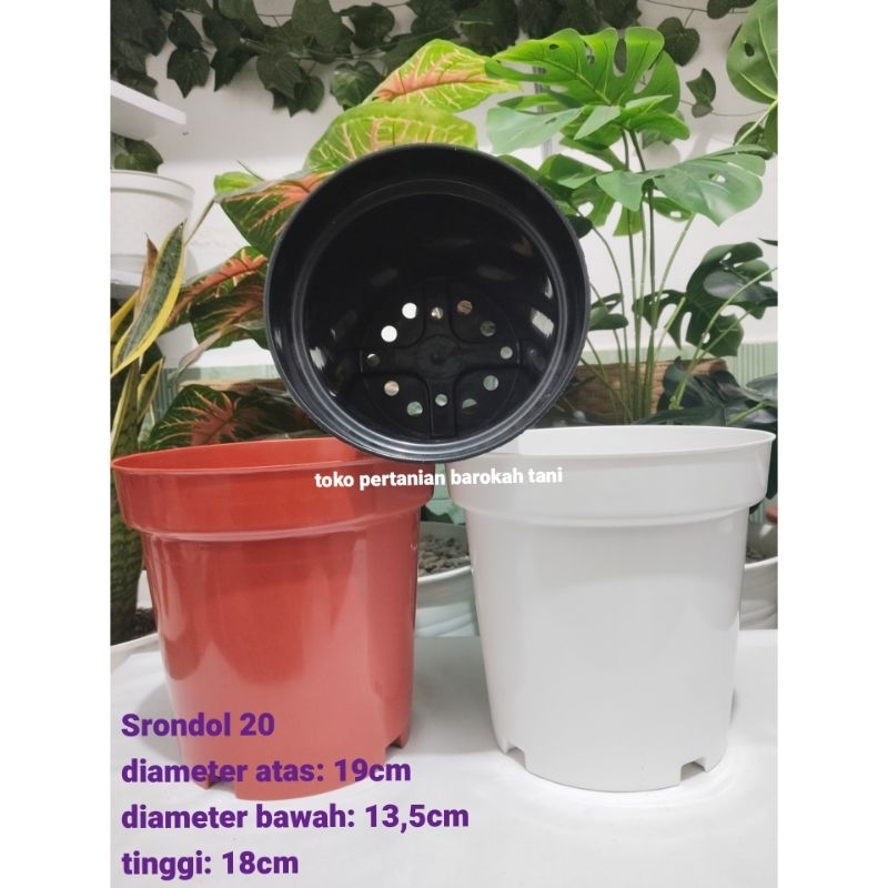 Jual (1pcs) POT SRONDOL 20 model pot tinggi berkualitas srondol bahan ...
