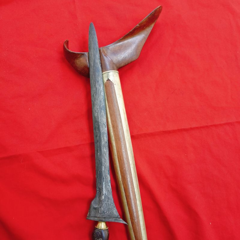 Jual BROJOL SEPUH LAWASAN TIMONGO | Shopee Indonesia