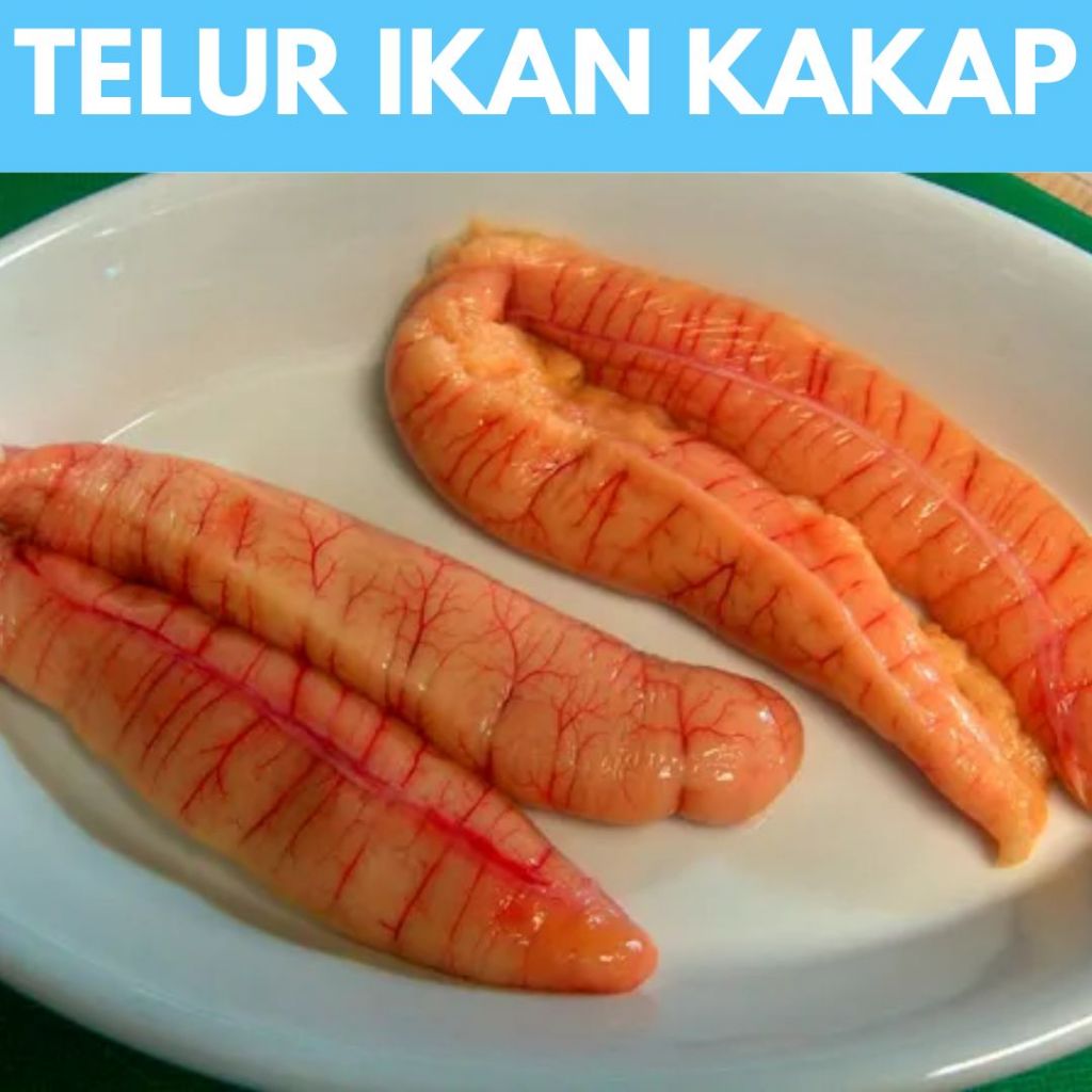 Jual Telur Ikan 500gr Premium | Pasar Ikan Semarang | Beli Ikan Segar ...
