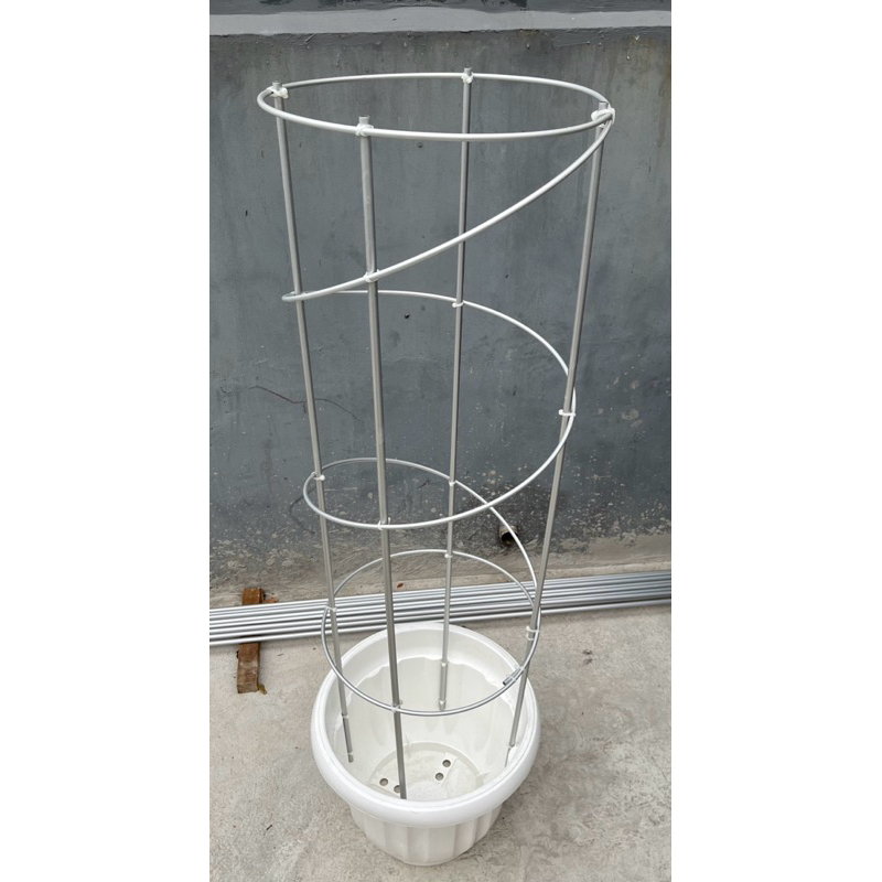 Jual TIANG RAMBATAN ANGGUR MODEL SPIRAL 4 TIANG BY TAMAN ANGGUR PONJAY ...