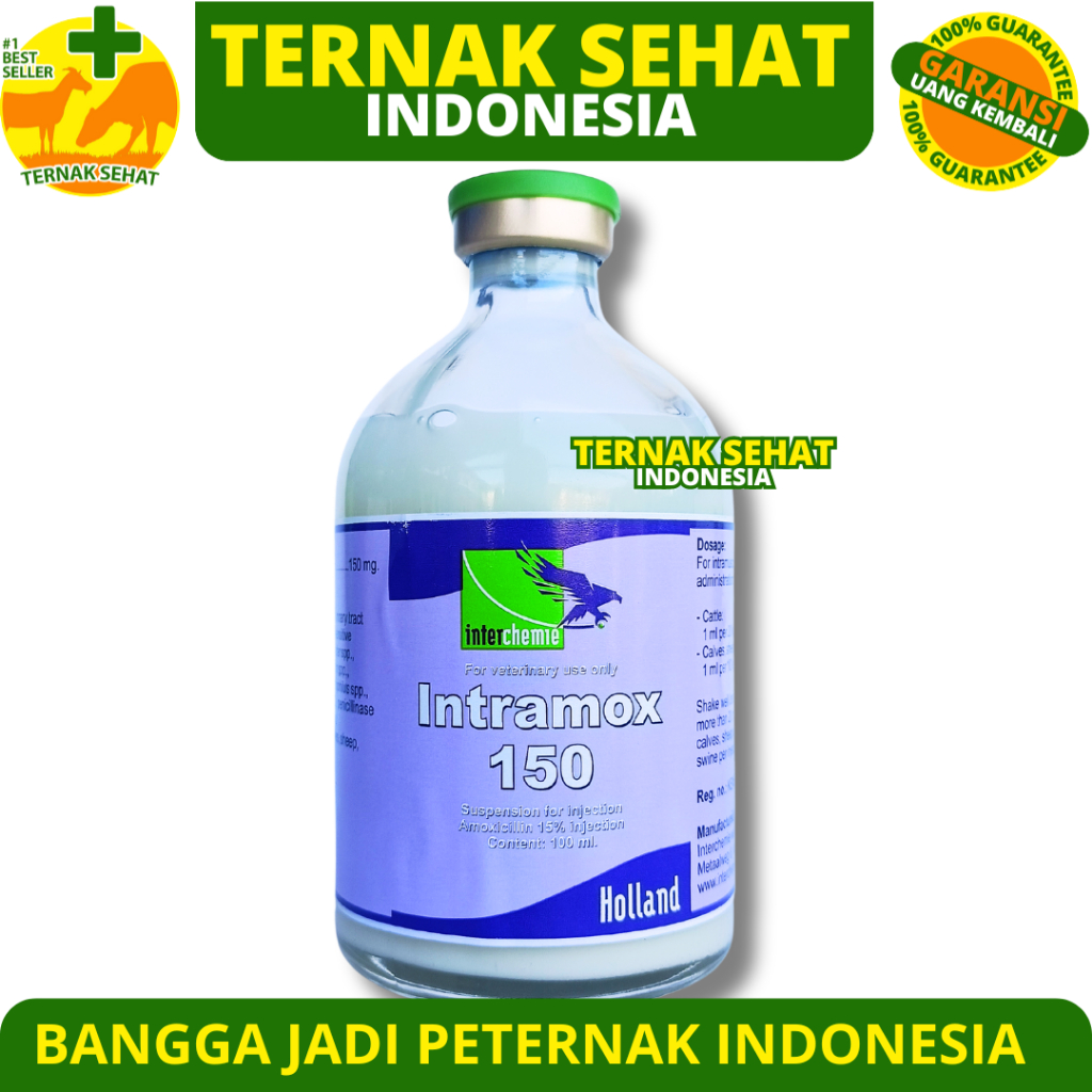 Jual INTRAMOX 150 BIRU 100ML - Antibiotik Hewan Amoxycillin Spektrum ...