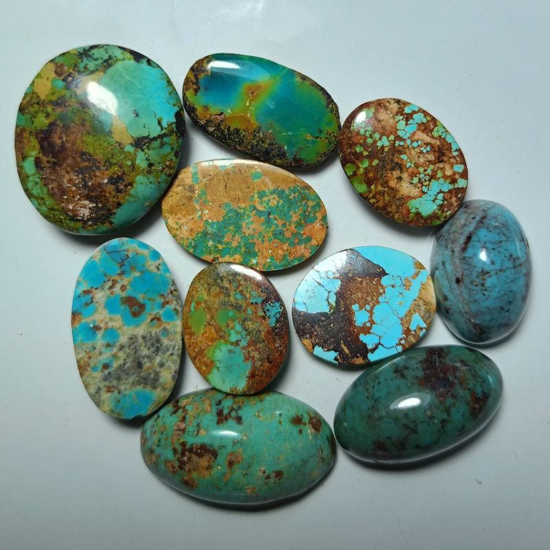 Jual NATURAL PIRUS PERSIA (F5) | Shopee Indonesia