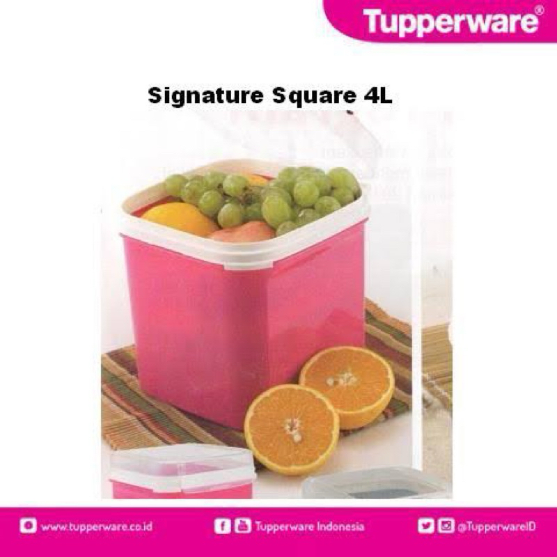 Jual Signature Square 4L Tupperware | Shopee Indonesia