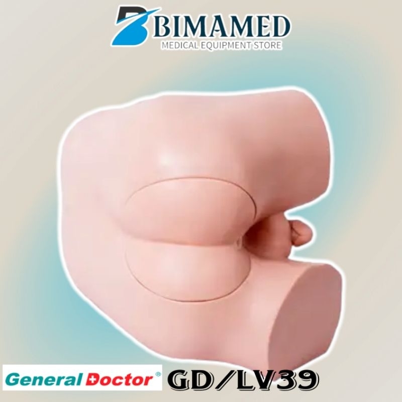 Jual Phantom Manikin Advanced Rectal Touch Examination Simulator / GD ...