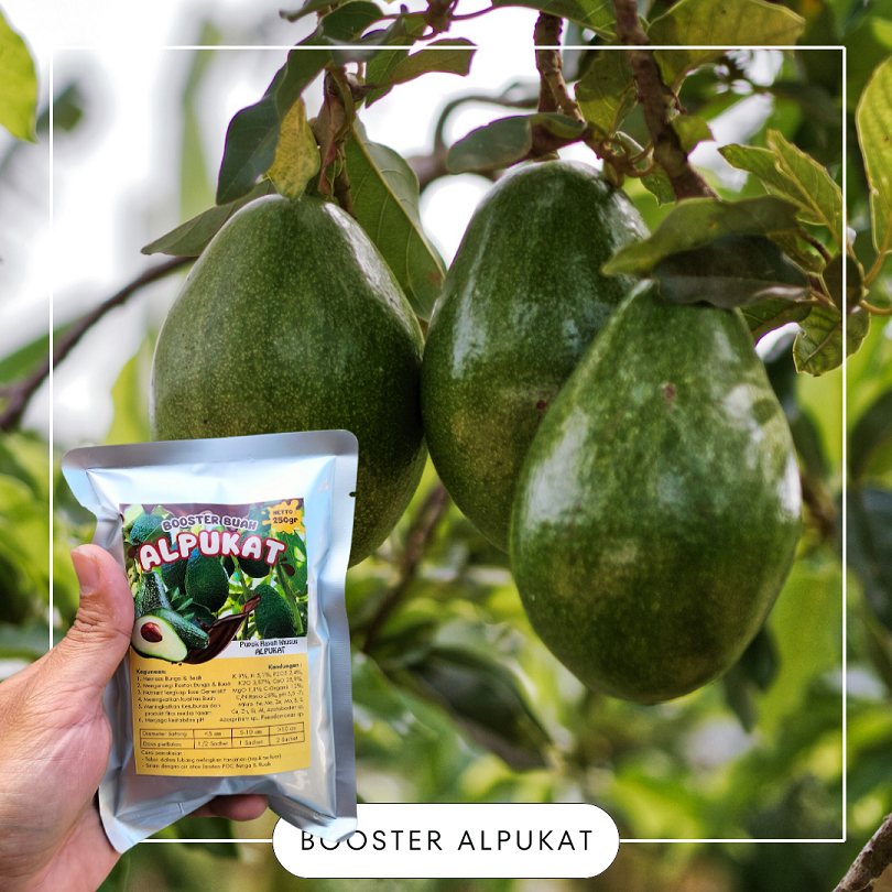 Jual Booster Alpukat / Pupuk Booster Hayati khusus Tanaman Alpukat ...