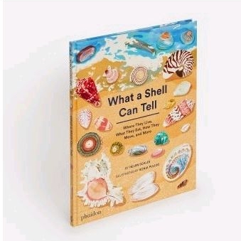 Jual Buku What A Shell Can Tell (Hardcover) Helen Scales | Shopee Indonesia