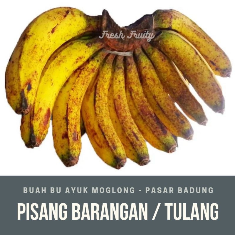 Jual pisang barang atau ketip tulang/sisir | Shopee Indonesia