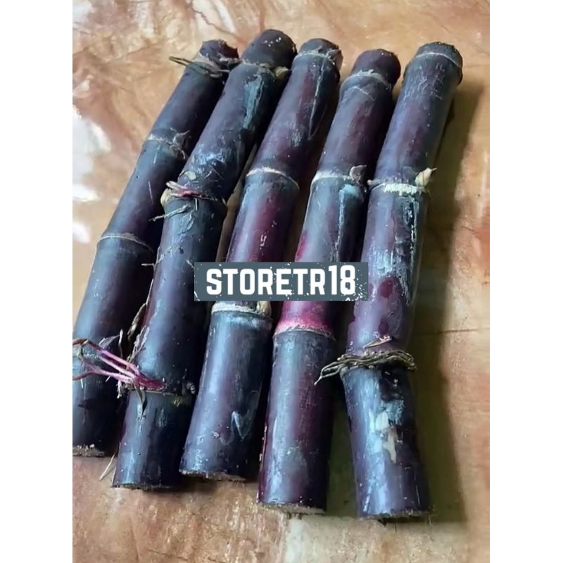 Jual Batang Tebu Hitam Tebu Ireng Tebu Wulung Paket 500 Gram Shopee Indonesia 9951