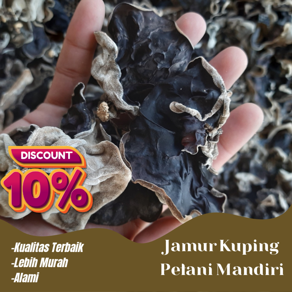 Jual Jamur Kuping Hitam Kering Besar Grade A B Sortir Kualitas Terbaik Shopee Indonesia 7483