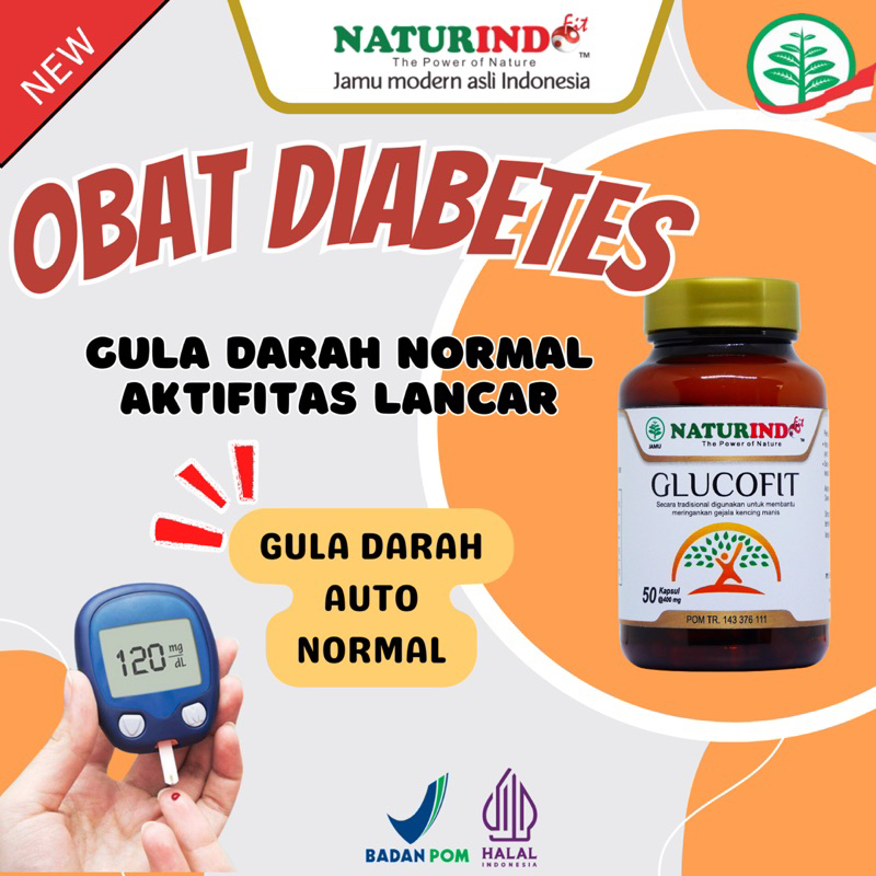 Jual Obat Diabetes Herbal Diabetes Melitus Gula Darah Tinggi Kencing