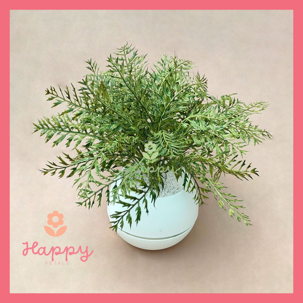 Jual DAUN PAKIS POT HOME DEKORASI BUNGA HIAS MURAH BUNGA PLASTIK DAUN ...