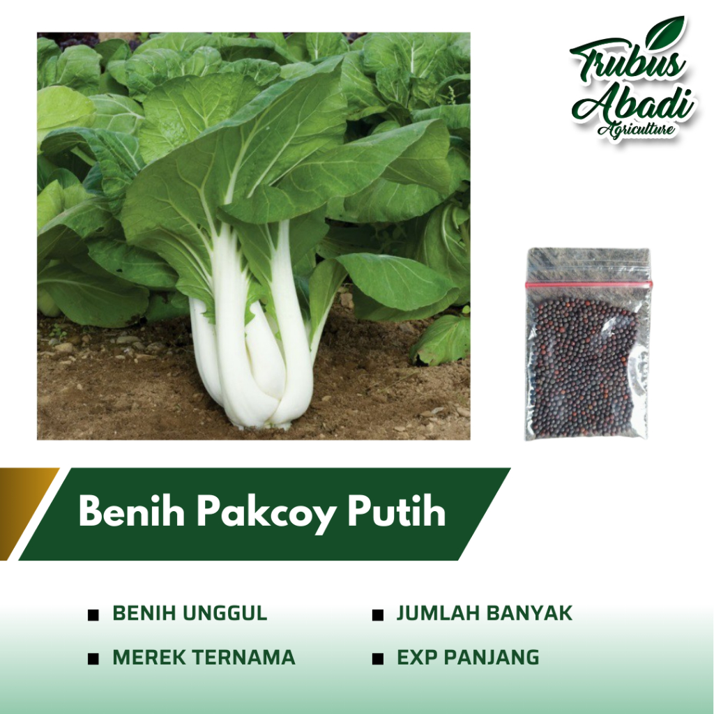 Jual Benih Bibit Sawi Pakcoy Putih Kemasan Repack Benih Sayuran