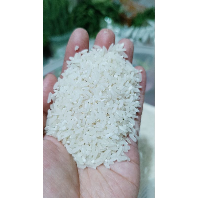 Jual Beras murah 1 kg | Shopee Indonesia
