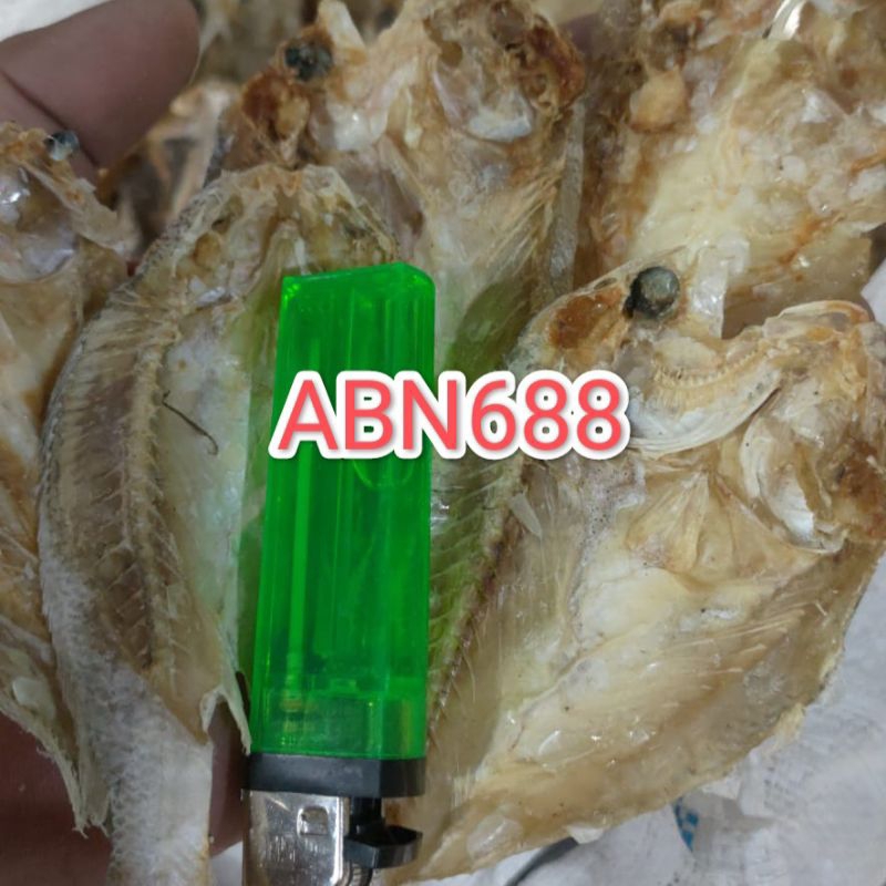 Jual Ikan Asin Samge Tawar Berat 250gram Shopee Indonesia