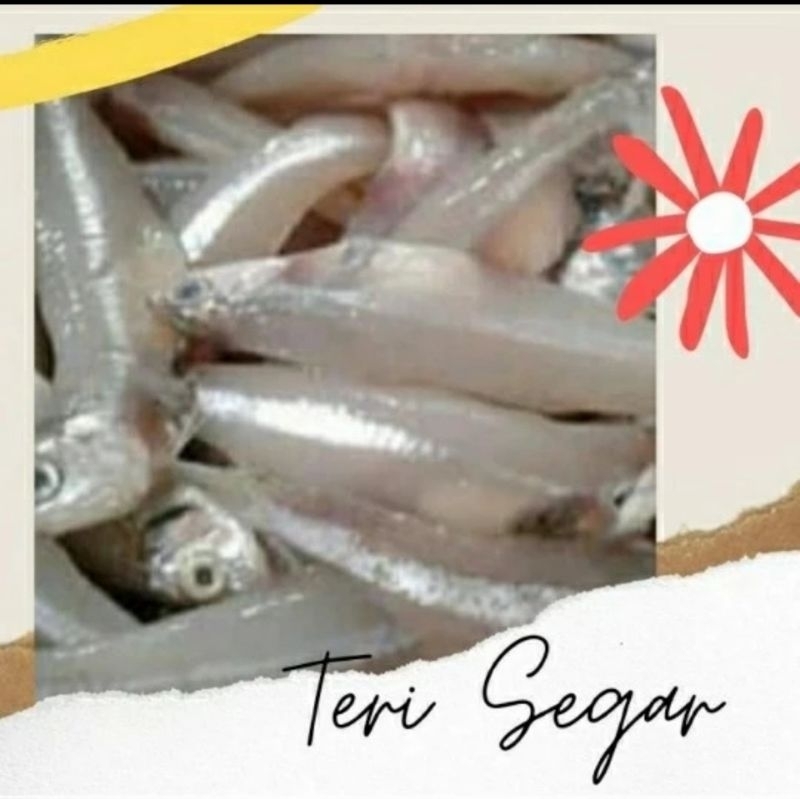 Jual IKAN TERI SEGAR | Shopee Indonesia