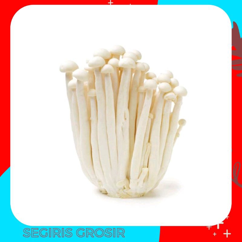Jual Jamur Salju hon Shimeji Salju per pack Shopee Indonesia