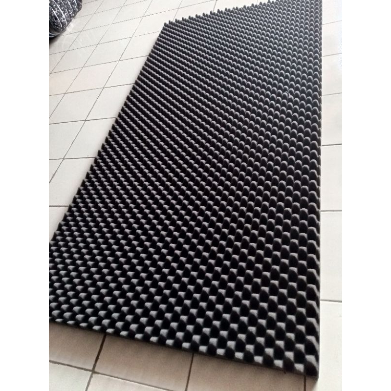 Jual Busa Telur 200x50x4 Cm | Shopee Indonesia