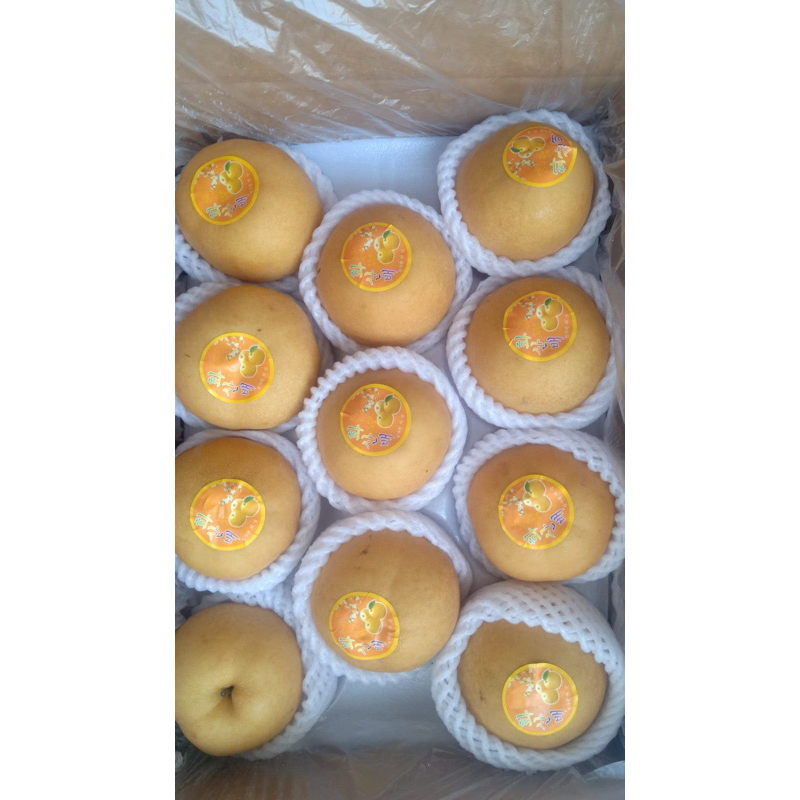 Jual pear singo korea (RRT) | Shopee Indonesia