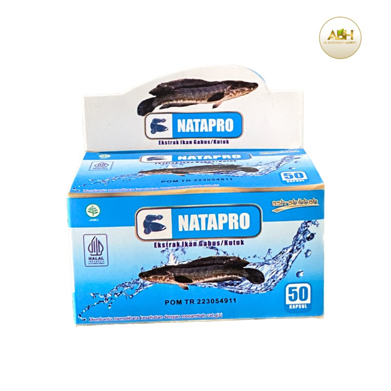 Jual NATAPRO ( PERUBAHAN DARI PRO ALBUMIN ) KAPSUL IKAN KUTUK | Shopee ...
