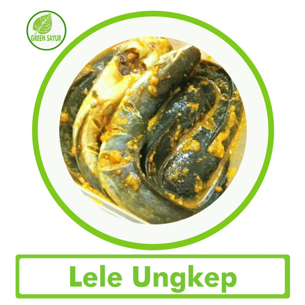 Jual Ikan Lele Bumbu Kuning Shopee Indonesia 