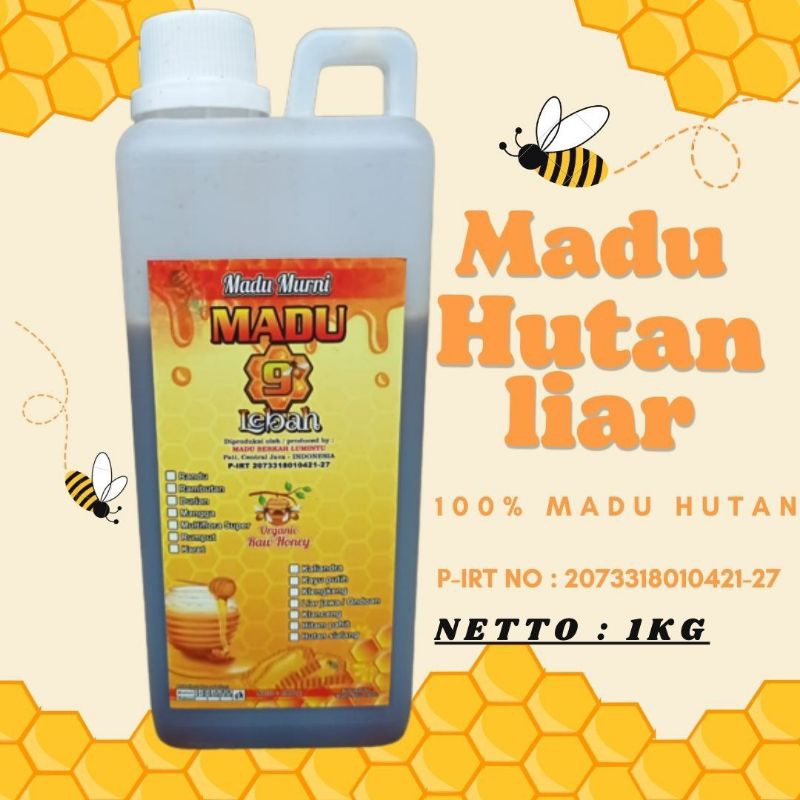 Jual Madu Hutan Liar 1kg Hutan Sialang Dorsata Asli Murni Raw Honey Original Shopee Indonesia