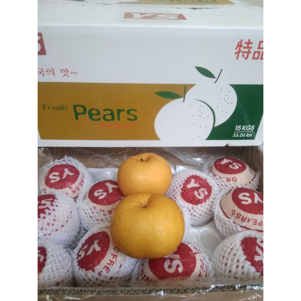 Jual Pear Korea Singo Ys Korean Pear Fresh Import Per Dus Shopee Indonesia 