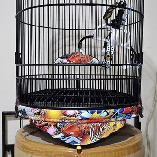 Transvestitlar bilan jinsiy aloqa partiyasi