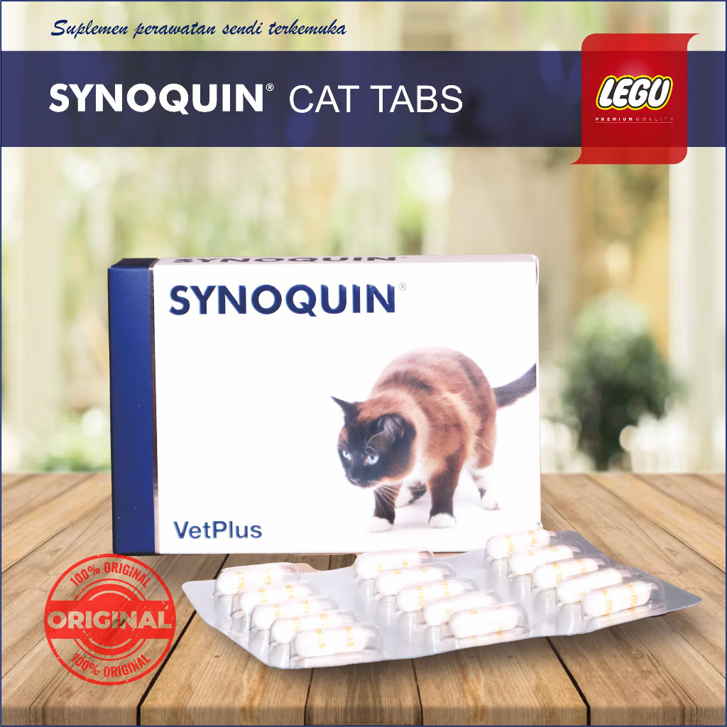 Jual Vetplus Synoquin For CAT per 1 Capsule, TERMURAH! | Shopee Indonesia