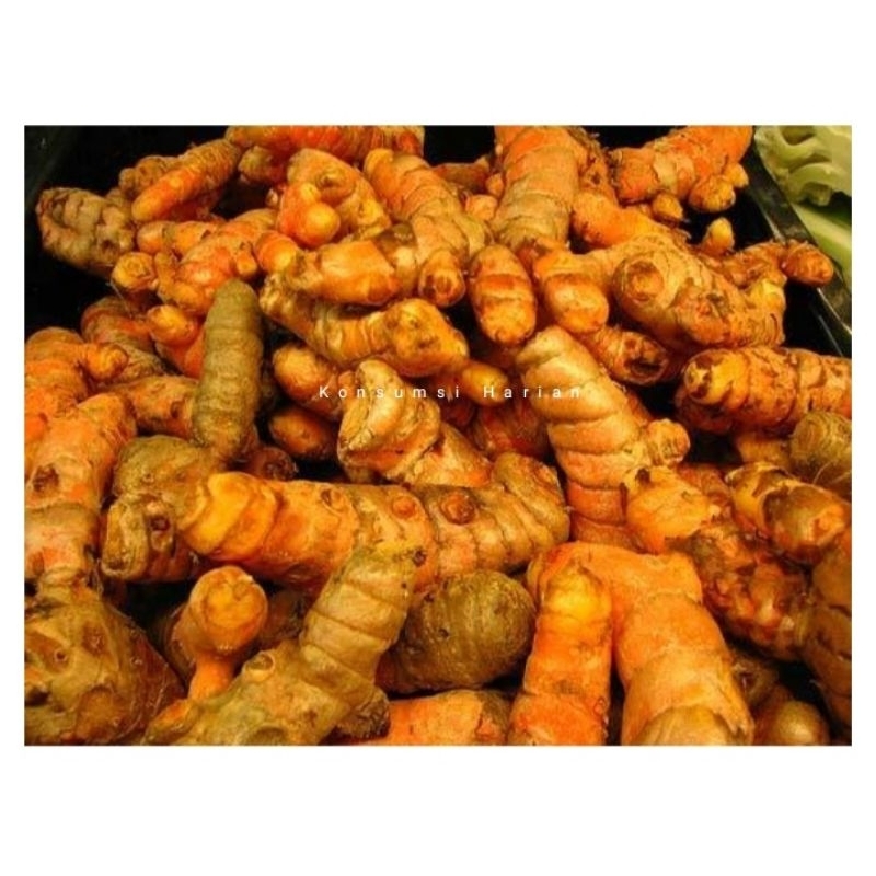 Jual Kunyit / Turmeric 100gram | Shopee Indonesia