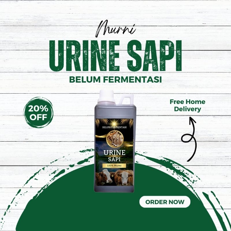 Jual Urin Sapi Murni Mentah 1 Liter | Shopee Indonesia