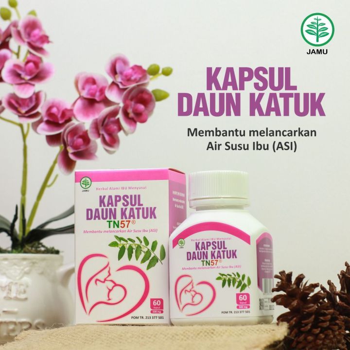 Jual Kapsul Extrac Daun Katuk Kapsul Daun Katuk Pelancar Asi Asi