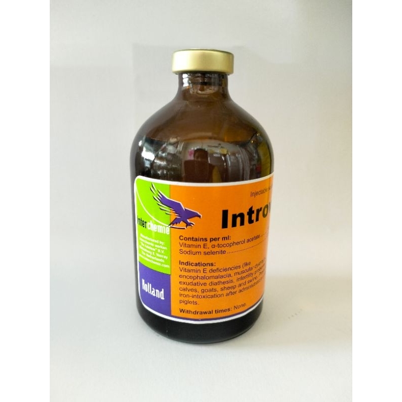 Jual introvit e selen inj 100ml | Shopee Indonesia