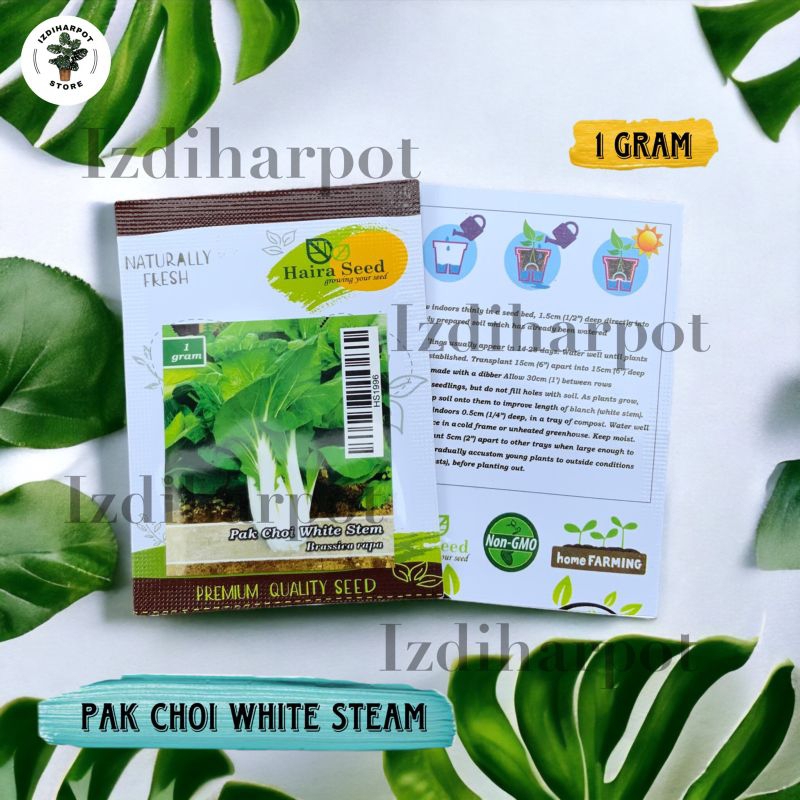 Jual Benih Bibit Sawi Pakcoy White Stem Haira Seed Sawi Pak Choi