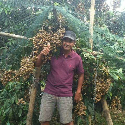 Jual pupuk phuser bestari pupuk pertumbuhan super | Shopee Indonesia