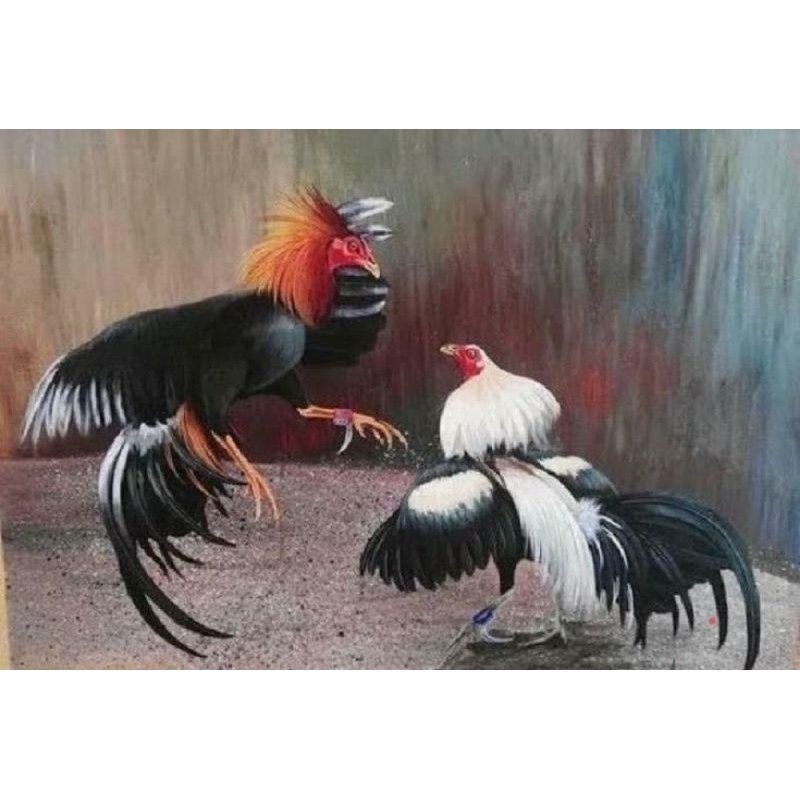 Jual hiasan dinding lukisan cetak ayam jago tarung plus figura ukuran