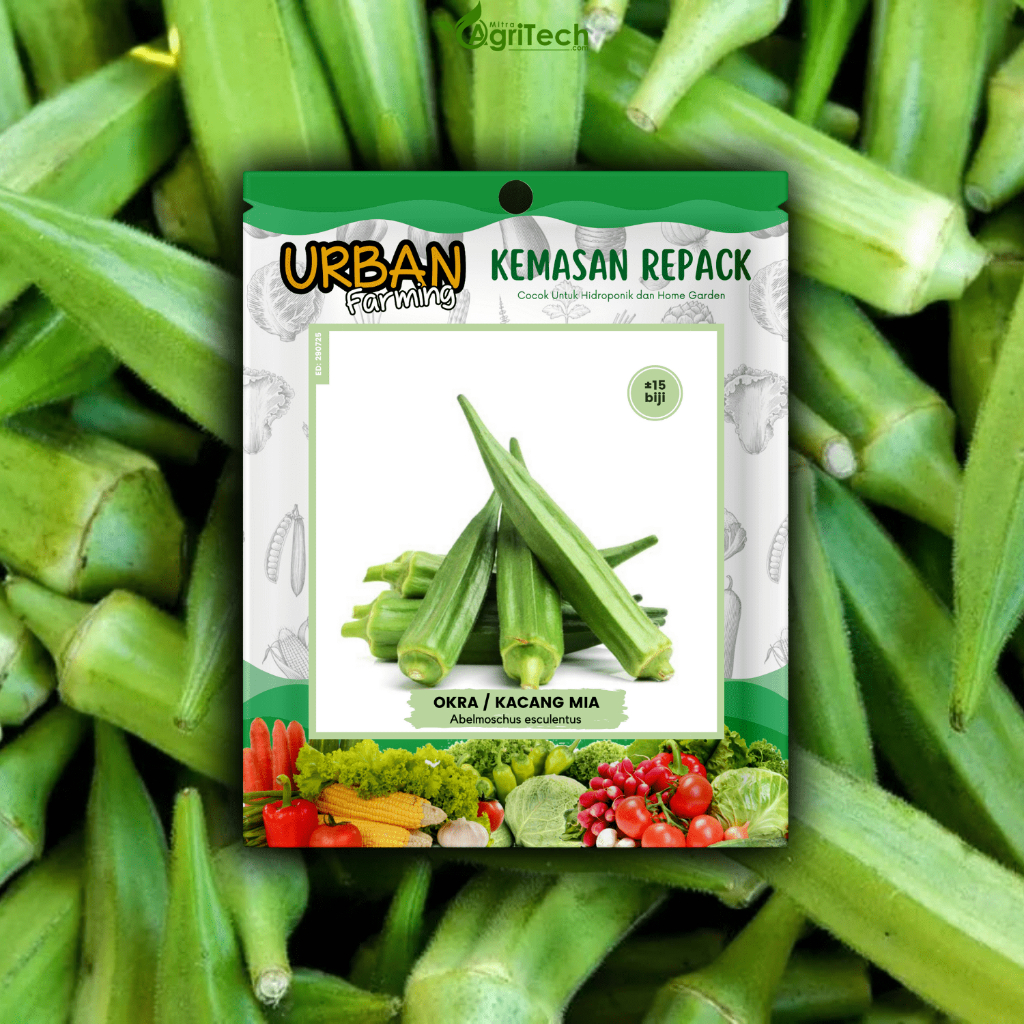 Jual Benih Bibit Okra Hijau Kacang Mia Unggul Isi Biji Okra Unggul