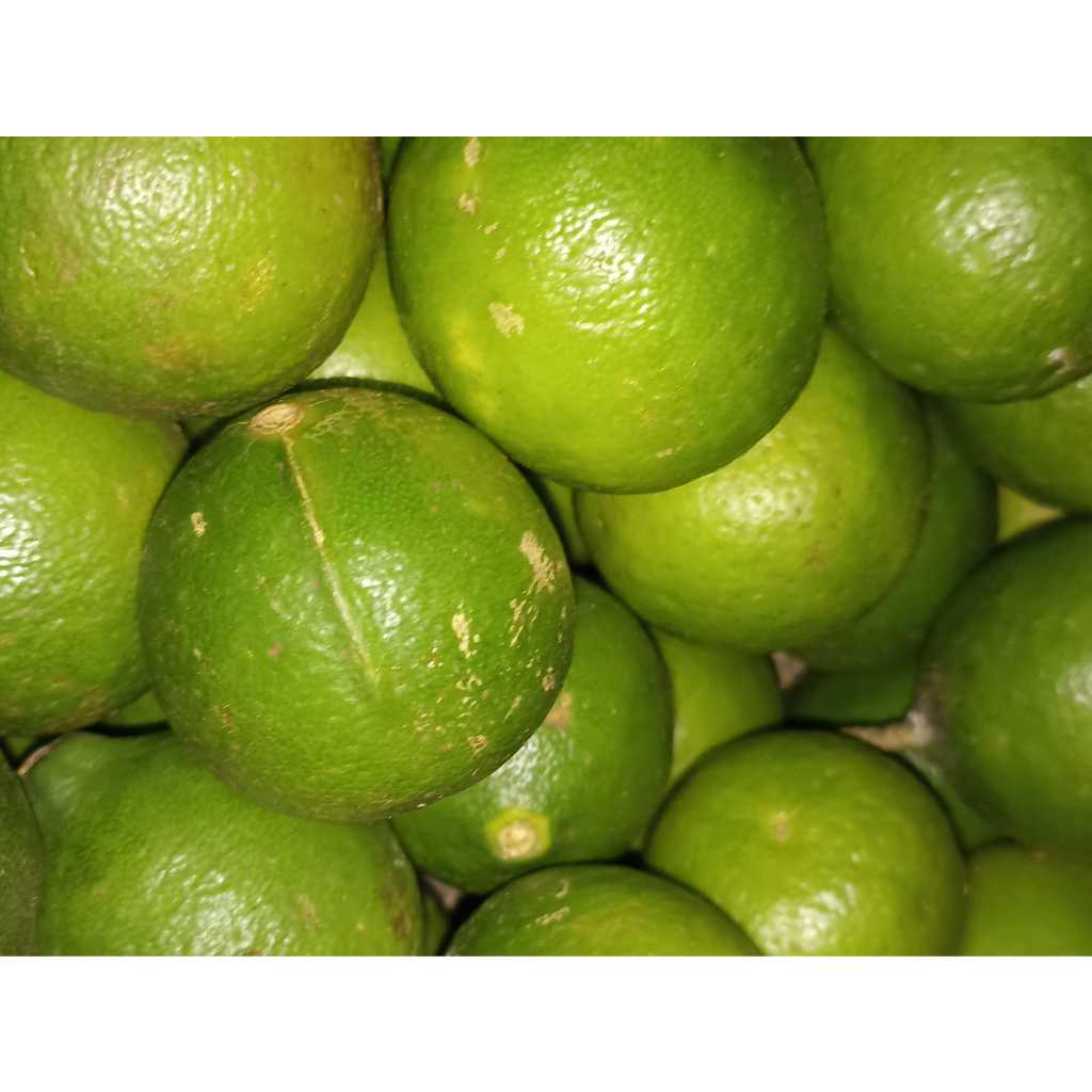 Jual JERUK NIPIS KUNING FRESH 1KG | Shopee Indonesia