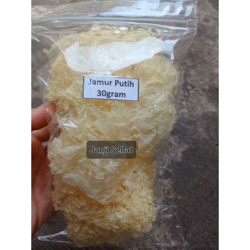 Jual 30gr Jamur Putih Jamur Salju Bai Mu Er Snow White Fungus Yin Er