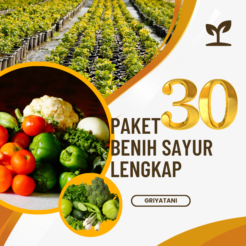 Paket 30 Macam Benih Sayuran Rumahan Sawi caisim Cabe Buncis Selada Merah Selada Hijau Kangkung