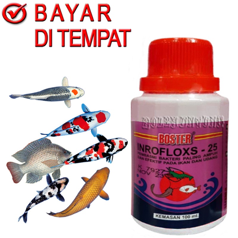 Jual Inrofloxs Boster Obat Jamur Ikan Gurami Mas Patin Nila Lele Patin Shopee Indonesia