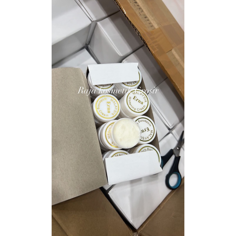 Jual BIBIT Whitening ERNA MALAY PER BOX ISI 32 PCS +++ Shopee Indonesia
