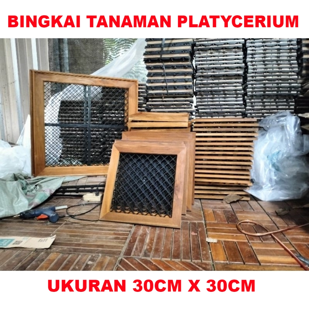 Bingkai Platycerium / Frame Simbar 30x30